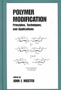 Polymer Modification: Principles, Techniques, and Applications (Hardcover)
