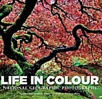 Life in Colour (Hardcover)