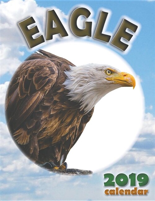 Eagle 2019 Calendar (Paperback)