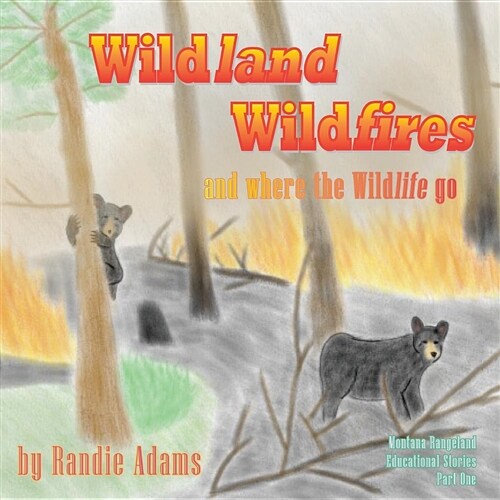 Wildland Wildfires - Test (Paperback)