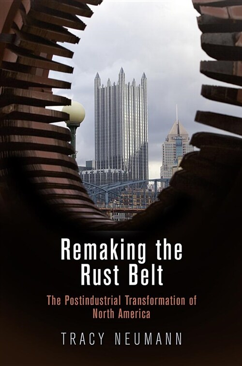 Remaking the Rust Belt: The Postindustrial Transformation of North America (Paperback)