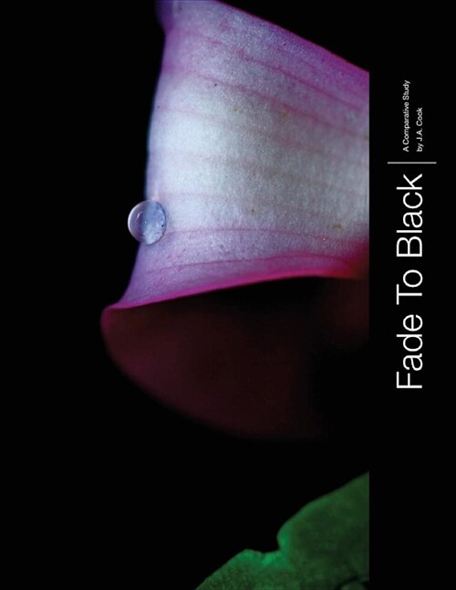 Fade to Black (Paperback)