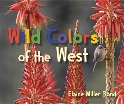 Wild Colors of the West (Board Books)