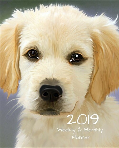 2019 Weekly and Monthly Planner: Golden Retriever Daily Organizer -To Do -Calendar in Review/Monthly Calendar (Paperback)