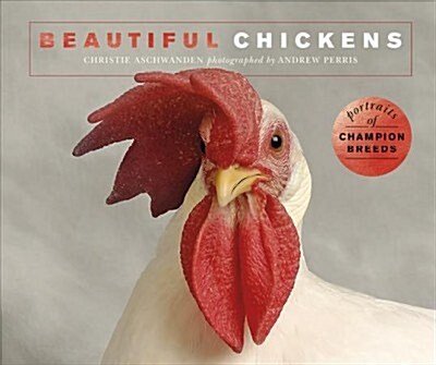 Beautiful Chickens : Portraits of champion breeds (Paperback)