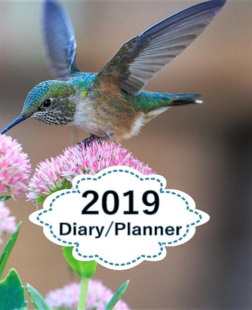 2019 Diary Planner: Page a Day (365 Pages) Daily Diary / Planner, Calendar Schedule Organizer for Daily, Weekly & Monthly Goals Blue Hummi (Paperback)