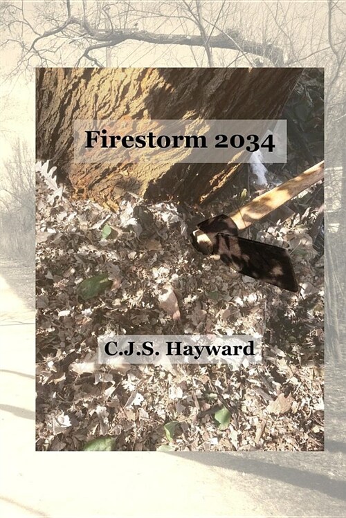 Firestorm 2034 (Paperback)