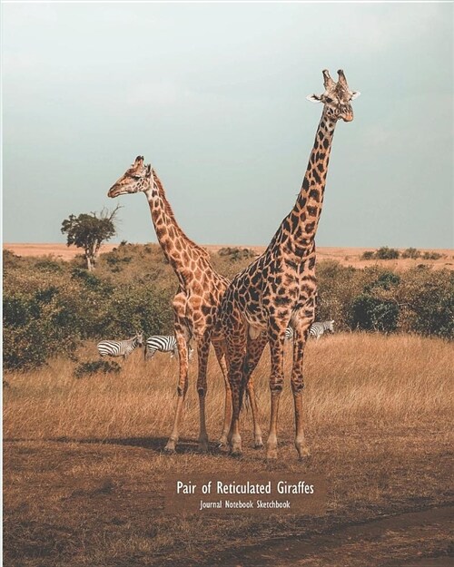 Pair of Reticulated Giraffes Journal Notebook Sketchbook (Paperback)