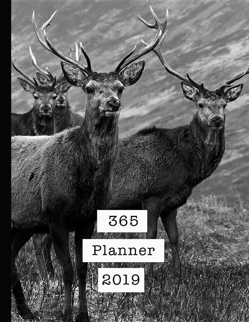 365 Planner 2019: Mens Professional Planner for All Your Diary and Organisational Needs - Stags on the Loch (Paperback)