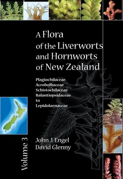 A Flora of the Liverworts and Hornworts of New Zealand: Volume 3 (Hardcover)