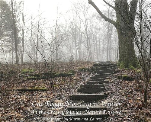 One Foggy Morning in Winter: In the Creasey Mahan Nature Preserve (Hardcover)