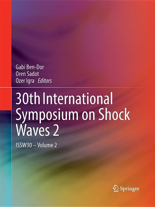 30th International Symposium on Shock Waves 2: Issw30 - Volume 2 (Paperback)