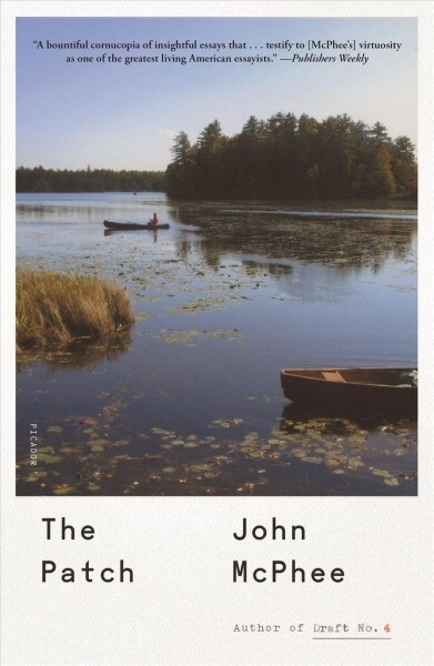 The Patch (Paperback)