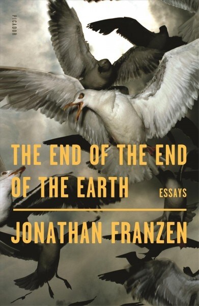 The End of the End of the Earth: Essays (Paperback)