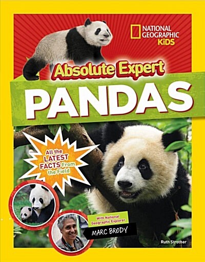 Absolute Expert: Pandas: All the Latest Facts from the Field with National Geographic Explorer Mark Brody (Hardcover)