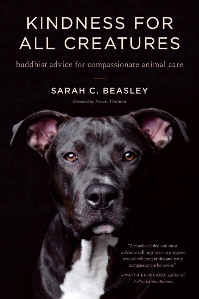 Kindness for All Creatures: Buddhist Advice for Compassionate Animal Care (Paperback)