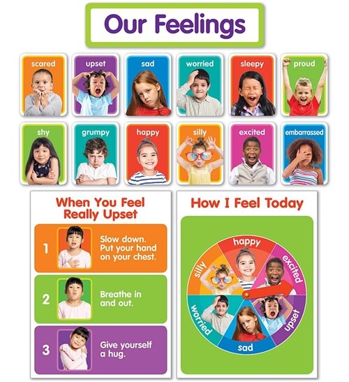 Our Feelings Bulletin Board (Hardcover)