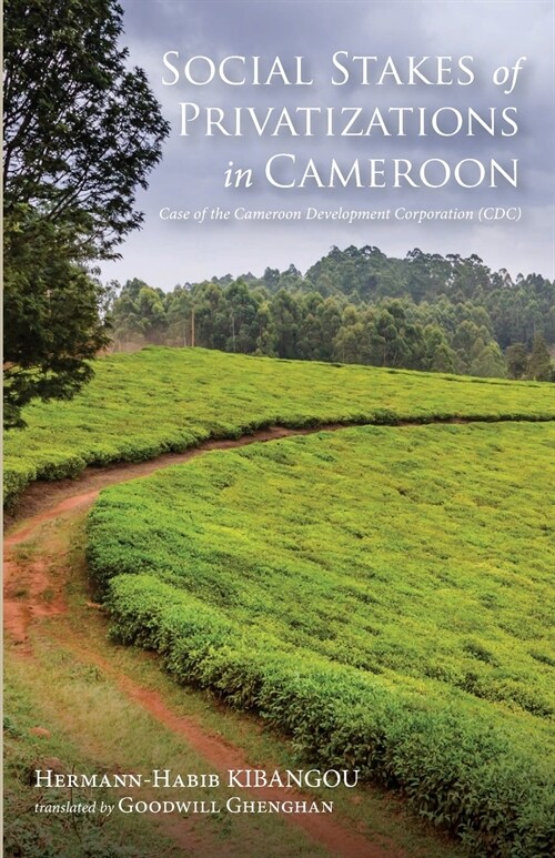 Social Stakes of Privatizations in Cameroon (Paperback)