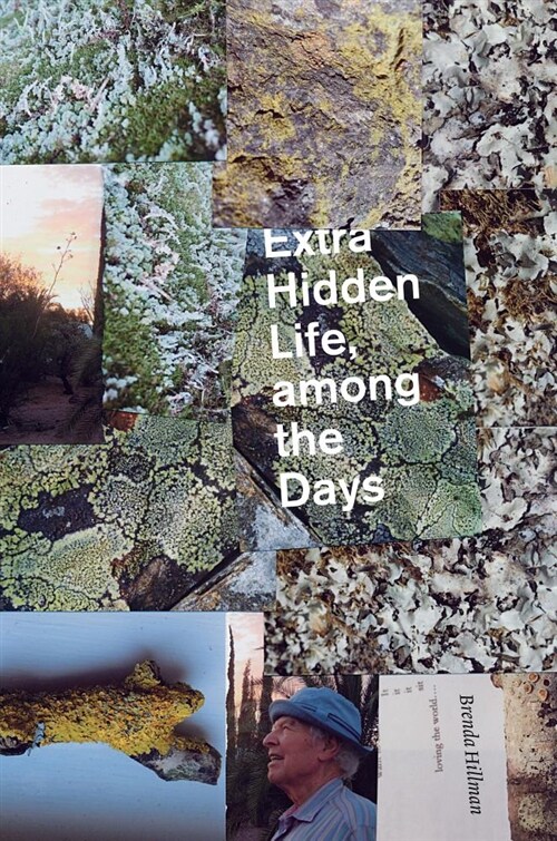 Extra Hidden Life, Among the Days (Paperback, Reprint)
