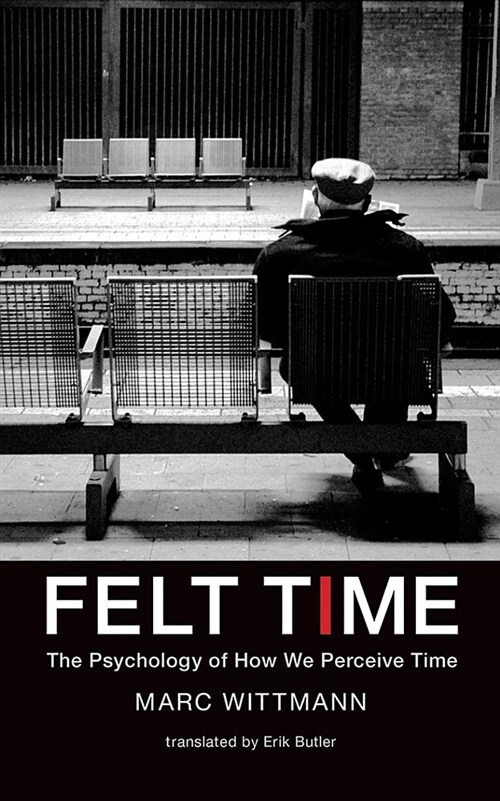 Felt Time: The Science of How We Experience Time (Audio CD)