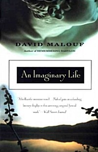 An Imaginary Life (Paperback)