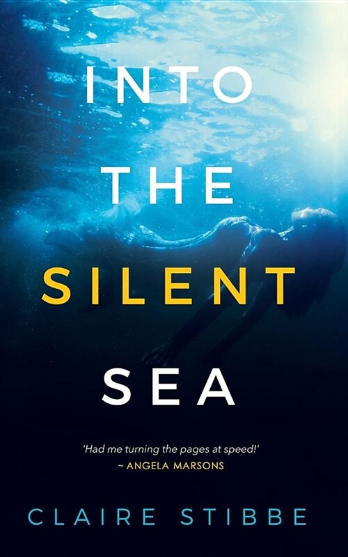 Into the Silent Sea (Paperback)