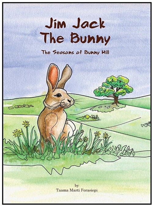 Jim Jack the Bunny: The Seasons of Bunny Hill (Hardcover)