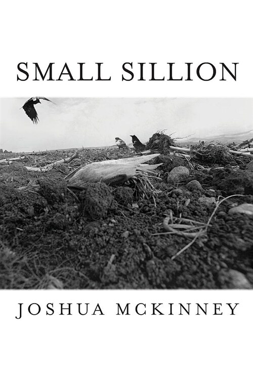 Small Sillion (Paperback)