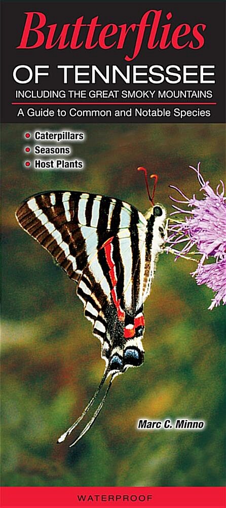 Butterflies of Tennessee Including the Great Smoky Mountains: A Guide to Common and Notable Species (Other)