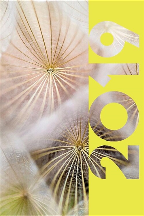 2019: Dandelion Clock Practical Organizer Diary Daily Weekly and Monthly Calendar Planner for Landscape Gardeners (Paperback)