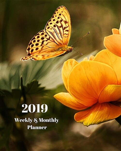 2019 Weekly and Monthly Planner: Butterfly and Orange Flower Daily Organizer -To Do -Calendar in Review/Monthly Calendar with U.S. Holidays (Paperback)