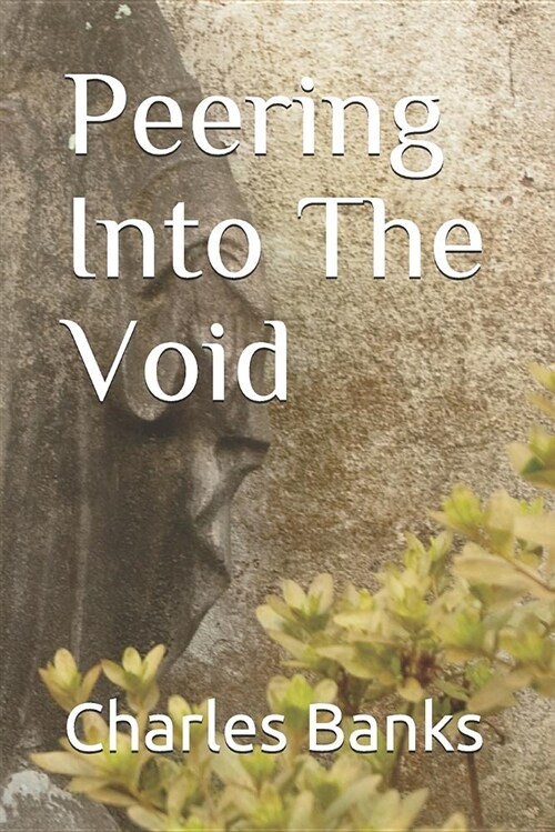 Peering Into the Void (Paperback)