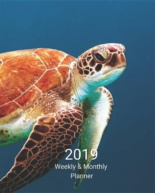 2019 Weekly and Monthly Planner: Turtle Daily Organizer -To Do -Calendar in Review/Monthly Calendar with U.S. Holidays (Paperback)