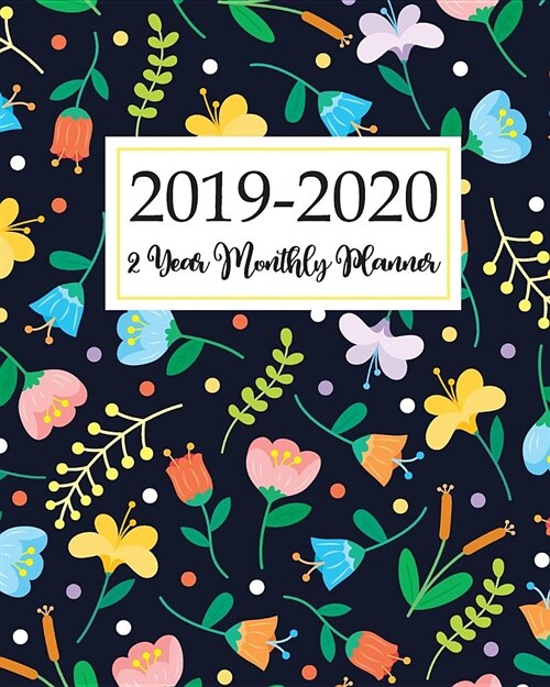 2019-2020 2 Year Monthly Planner: Two Year Calendar, January 2019 Through December 2020 (Paperback)