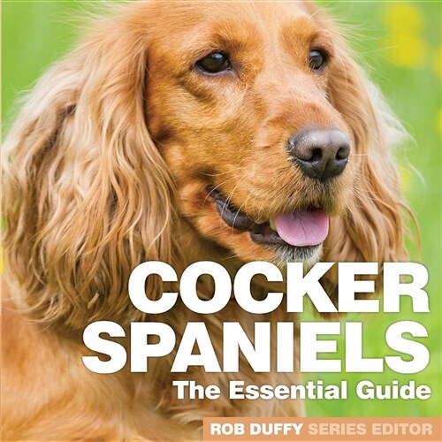 Cocker Spaniels : The Essential Guide (Paperback)