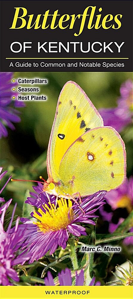 Butterflies of Kentucky: A Guide to Common and Notable Species (Other)