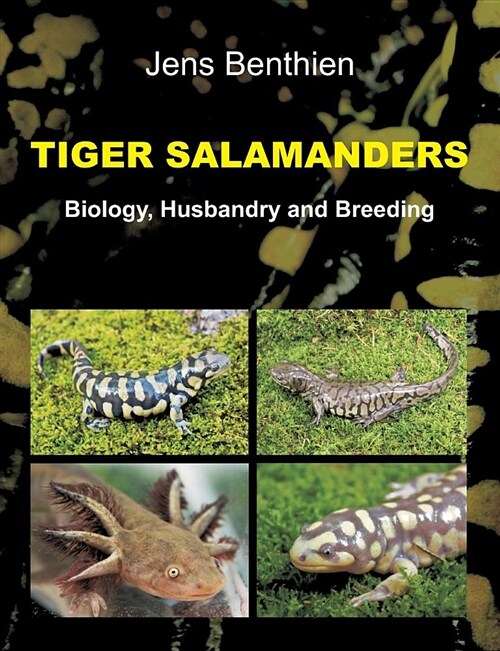 Tiger Salamanders (Paperback)