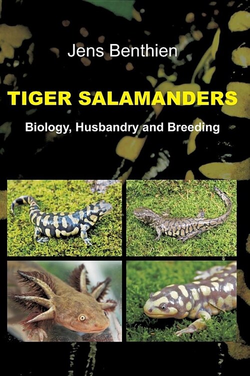 Tiger Salamanders (Hardcover)