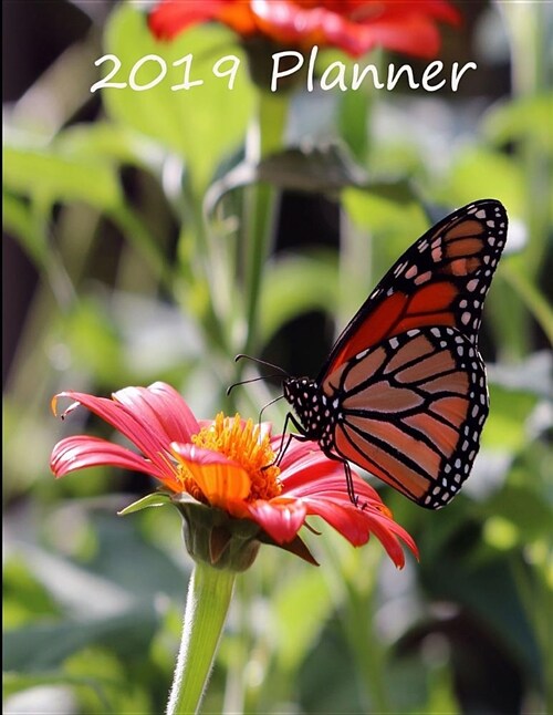 2019 Planner: 1 Year Planner for January 2019 Through December 2019. 8.5x11 with 53 Pages. (Paperback)