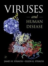 [중고] Viruses and Human Disease (Hardcover)