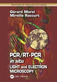 PCRRT-PCR in situ light and electron microscopy