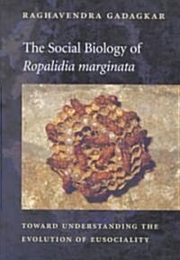 The Social Biology of Ropalidia Marginata (Hardcover)
