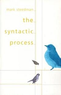 The Syntactic Process (Paperback)