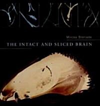 The Intact and Sliced Brain (Hardcover)