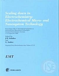 Scaling down in Electrochemistry: Electrochemical Micro- and Nanosystem Technology (Hardcover)