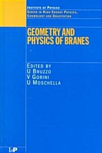 Geometry and Physics of Branes (Hardcover)