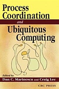 Internet Process Coordination (Paperback)