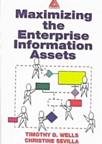 Maximizing the Enterprise Information Assets (Paperback)