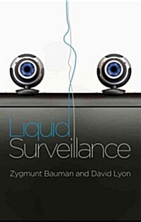Liquid Surveillance : A Conversation (Paperback)