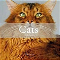 Cats (Hardcover)